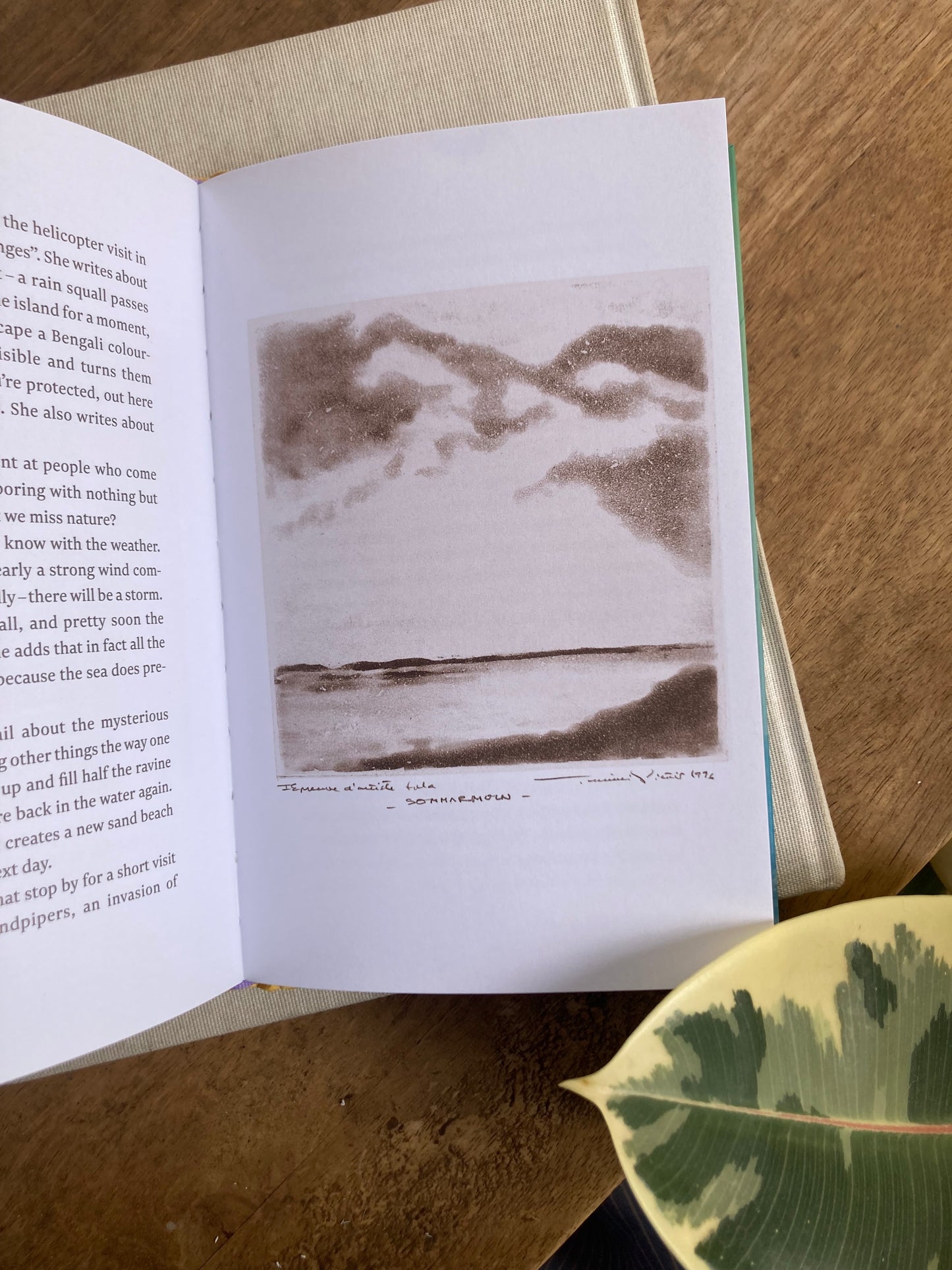 Notes from an Island by Tove Jansson, trans. by Thomas Teal